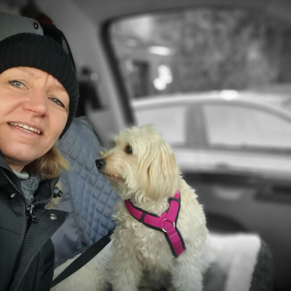 Jungfernfahrt mit Hindernissen. Selfie von Andrea und Polly in der Fahrerkabine von Bulli Murphy . Polly schaut mal wieder zur Seite und nicht in die Kamera. Sie hat ein rosa Geschirr um und ist mit einer Leine gesichert.