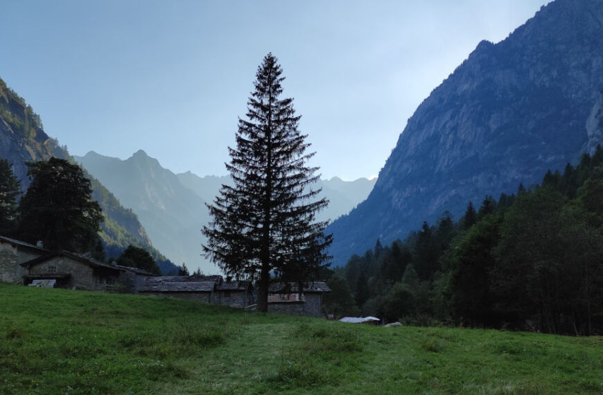 Insider Tipps: Das Valtellina